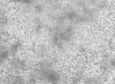 Control_gif_better q